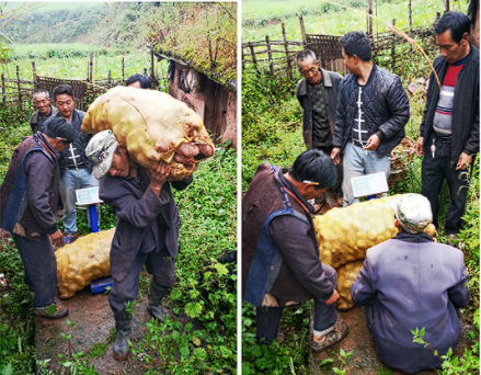 1667807647263784.png 微信截图_20221107155354.png