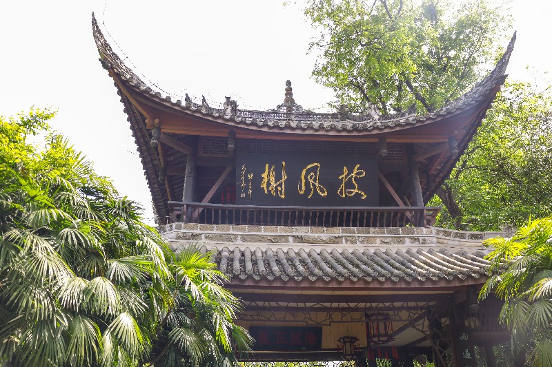 1681451297261719.jpg IMG_7227-19.jpg