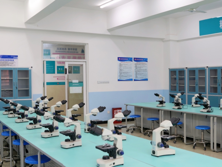 1765442415130270.jpg 1765442415130270.jpg