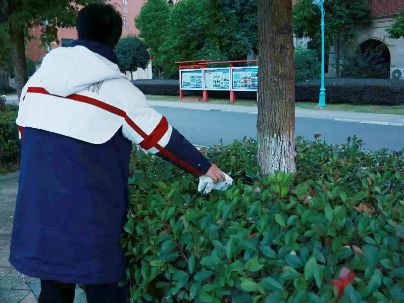 1767156563416203.jpg 1764661666120618~1.jpg